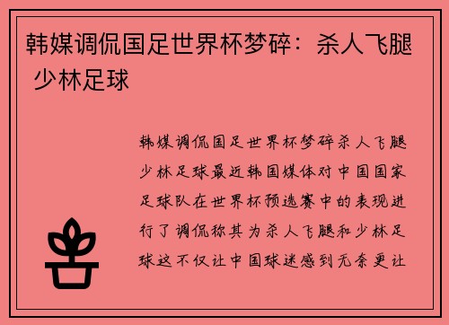 韩媒调侃国足世界杯梦碎：杀人飞腿 少林足球